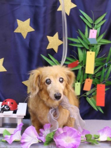 20230716クーくん